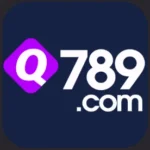 q789 game